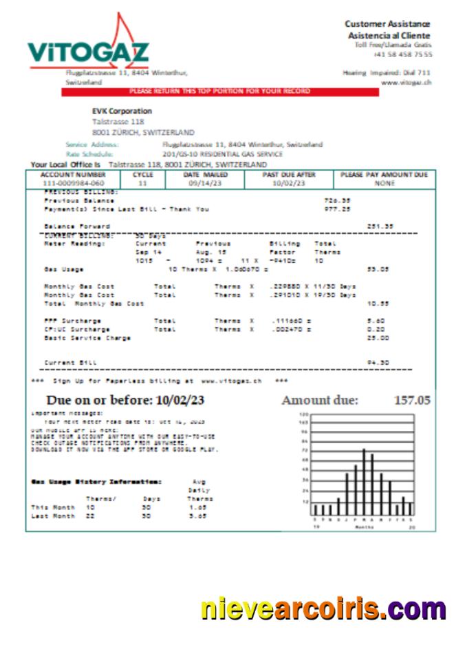 Vitogaz Switzerland AG utility business bill